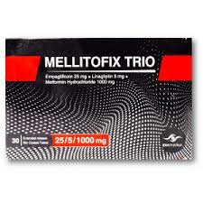 MELLITOFIX TRIO 25/5/1000 MG 30 F.C. TABS.