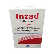 Inzad 1Gm 1 Vial