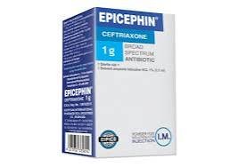Epicephin 1Gm 1 Vial Im
