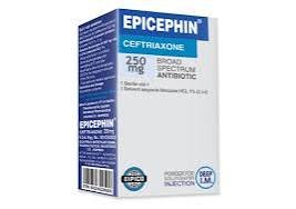 EPICEPHIN 250 MG I.M. VIAL