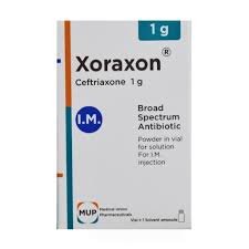 XORAXON 1 GM I.M. VIAL