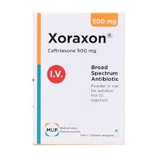 XORAXON 500MG I.V. VIAL