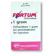 FORTUM 1 GM VIAL.