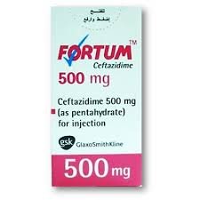 FORTUM 500MG VIAL.