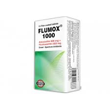 FLUMOX 1000 MG 15 F.C. TABS.