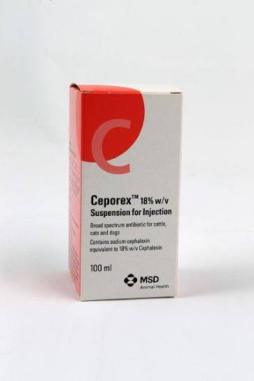 CEPOREX 500MG VIAL