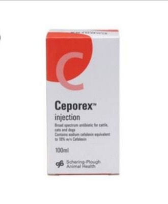 CEPOREX 1 GM VIAL