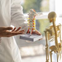 doctor-explaining-anatomy-front-view