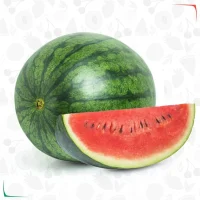 بطيخ-جيزة-سوبر-بريمو-تصدير